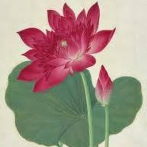 Meet your Posher, Haiyan